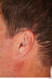 Street  825 ear 0001.jpg